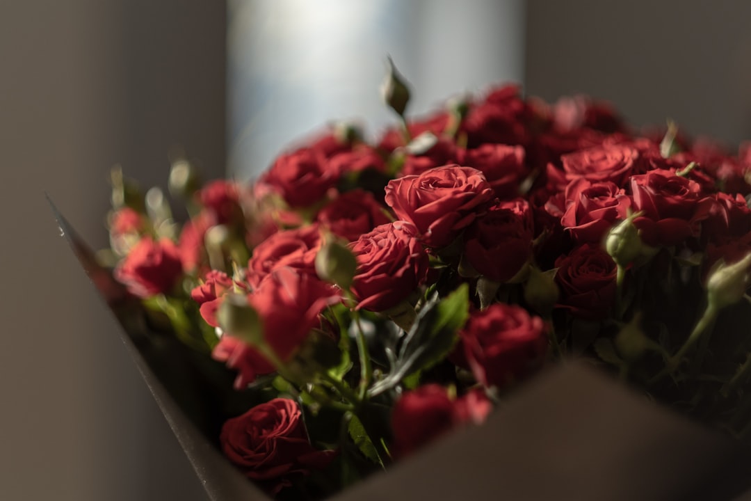 Photo bouquet of roses